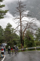 Ciclistas subiendo el puerto de la Collada de la Gallina. La Vuelta 2013.